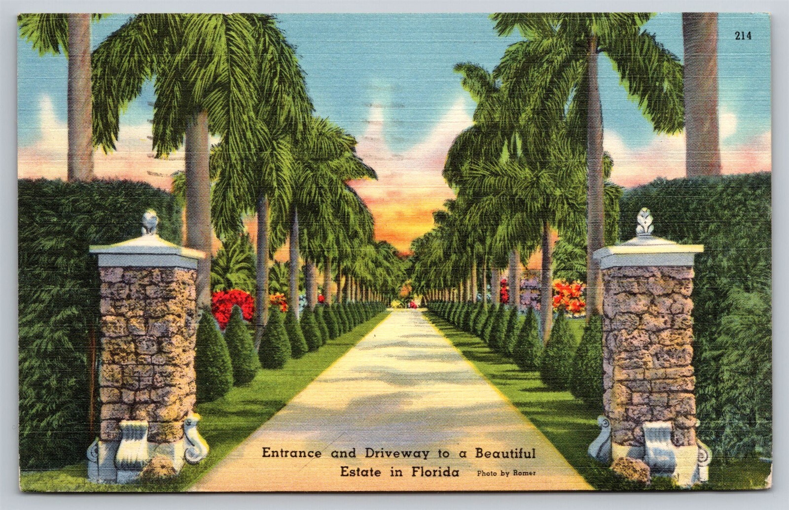 FL Entrance Driveway to Beautiful Florida Estate Palm Tree Lined Linen Postcard