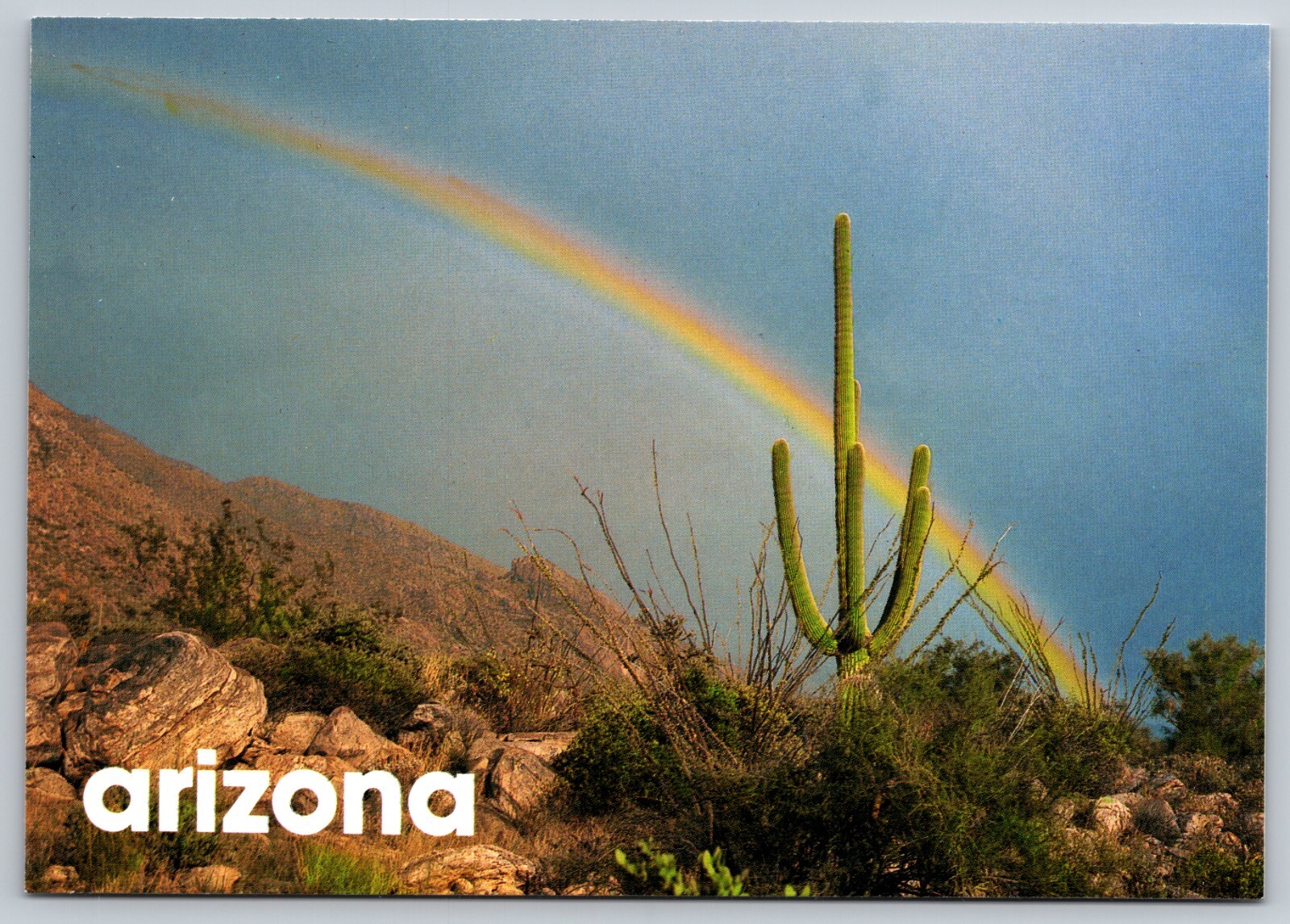 Rainbow Light Arizona Desert Postcard UNPOSTED