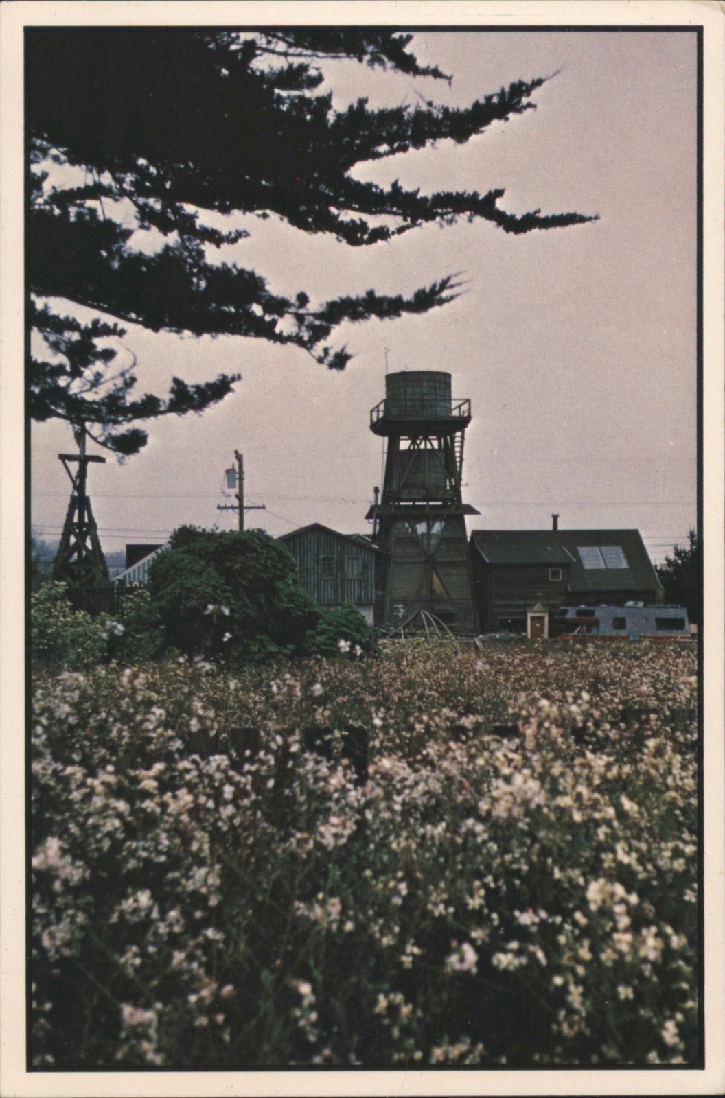 A. W. Anderson Mendocino, California CA Wild Flowers, Water Towers Summer Fog
