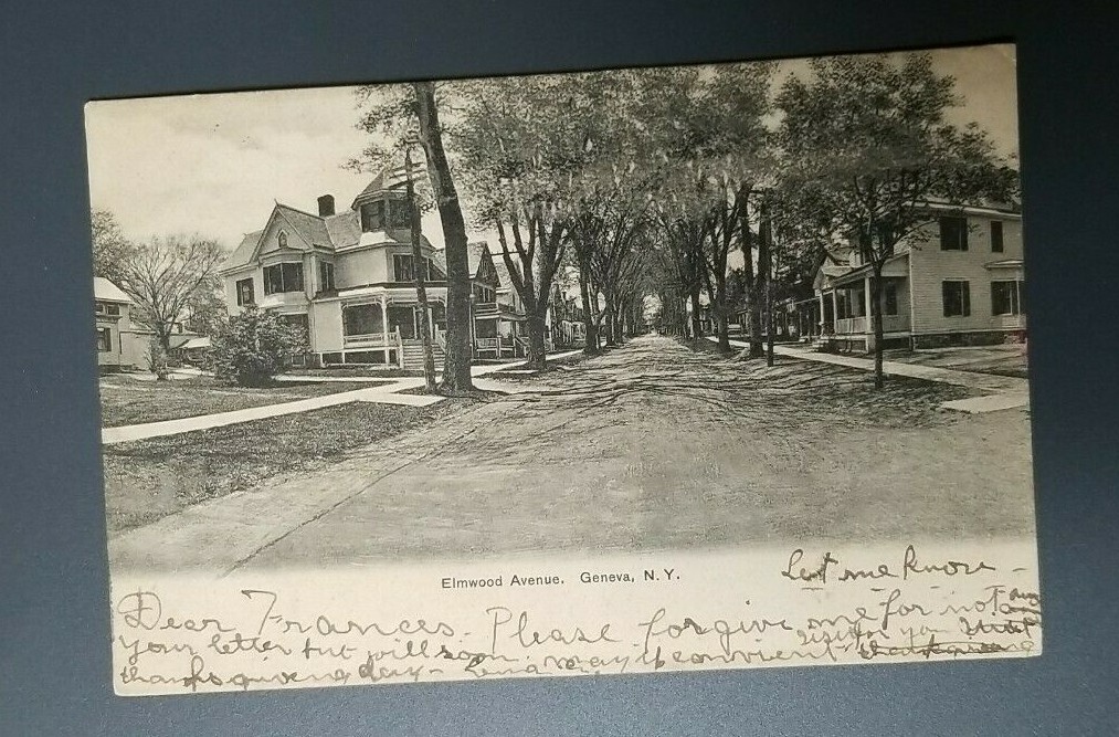 1905 b&w print Elmwood Avenue, Geneva, NY – vintage street view