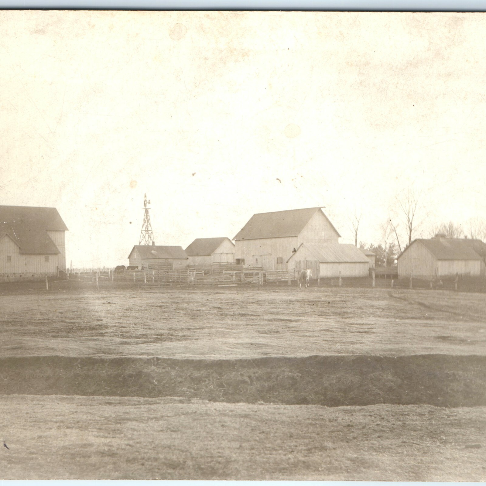 c1910s Homestead Farm Barns Windmill Horse Livestock RPPC Real Photo Postcard