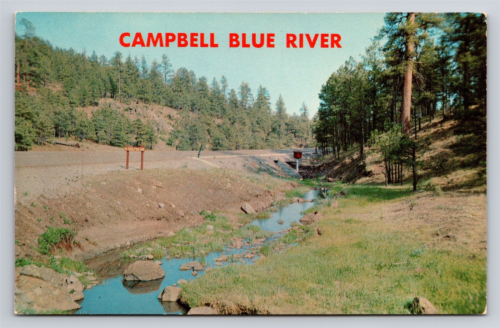 Campbell Blue River Apache National Forest Arizona Roadside Vtg AZ Postcard View
