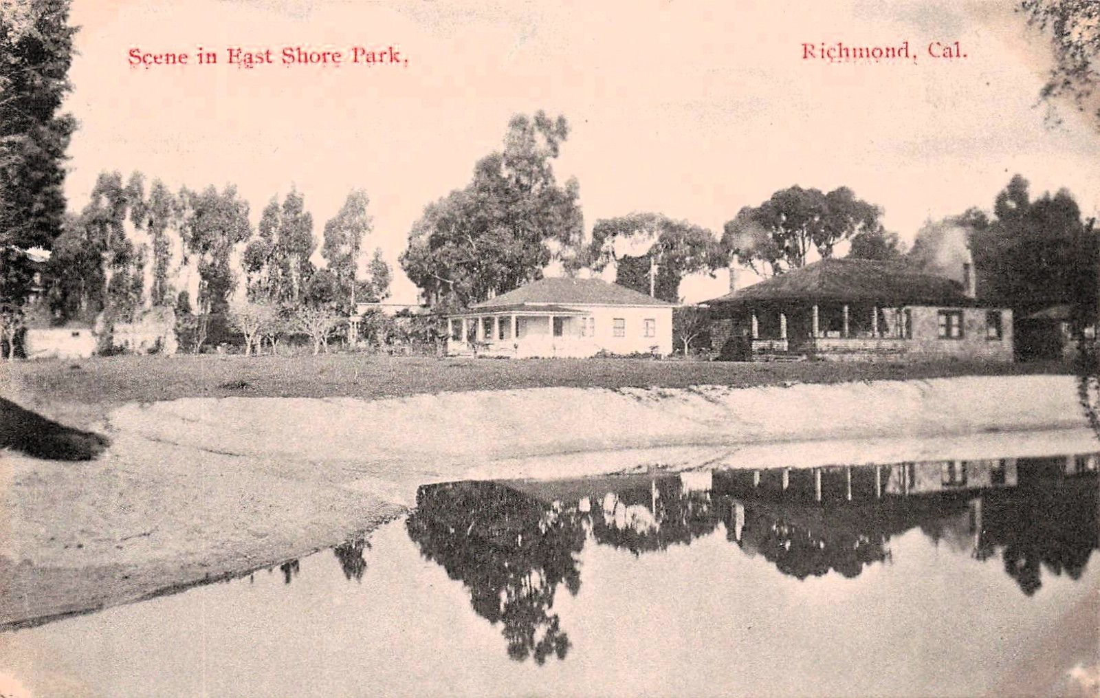 Richmond California McLaughlin Eastshore State Park Point Isabel Postcard K17