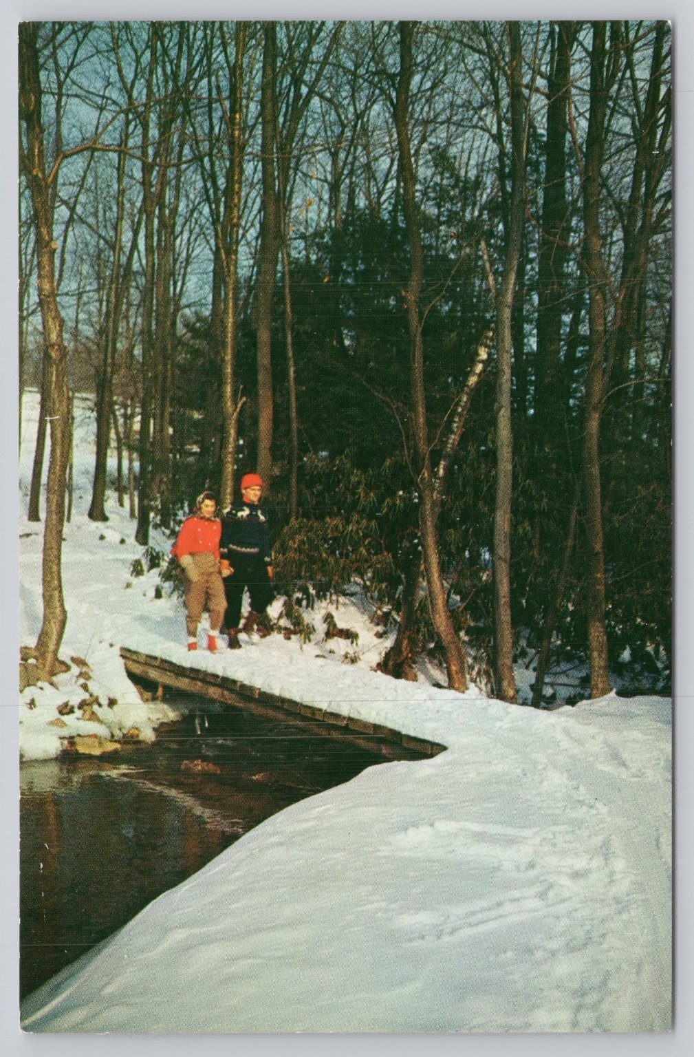 Buck Hill Falls PA Postcard Winter Snow Hike Path Vintage The Scheller Co.