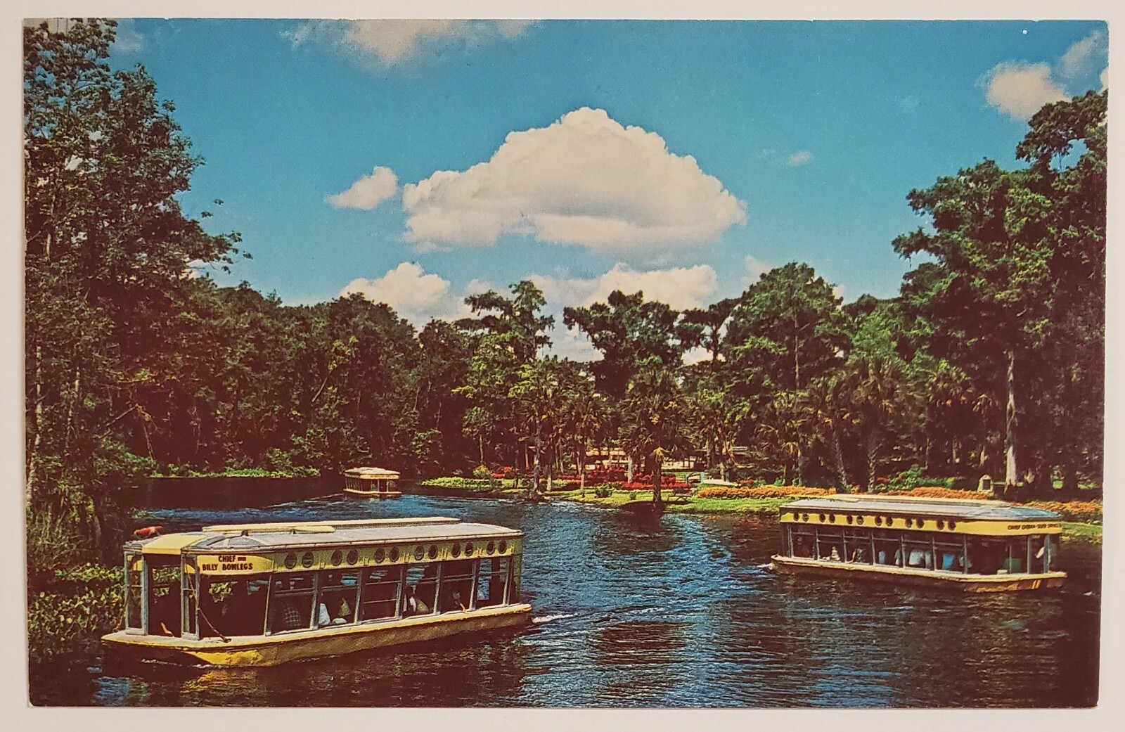 Glass Bottom Boats Silver Springs Florida Chrome Postcard