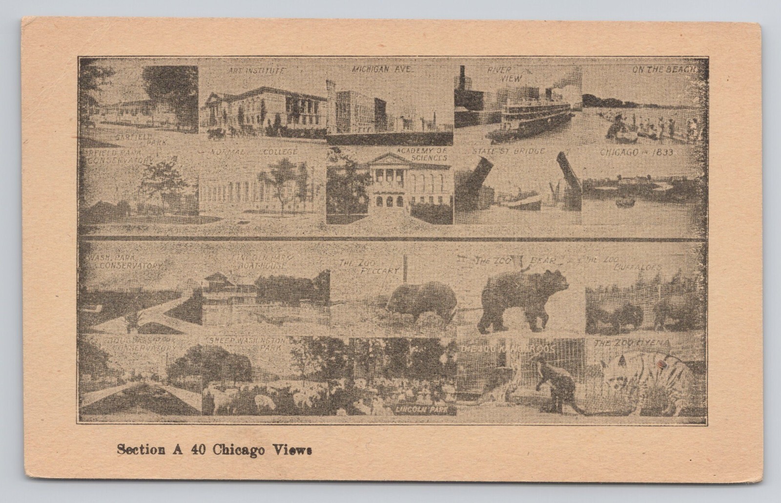 Postcard Section A 40 Chicago Illinois Multi View 1914