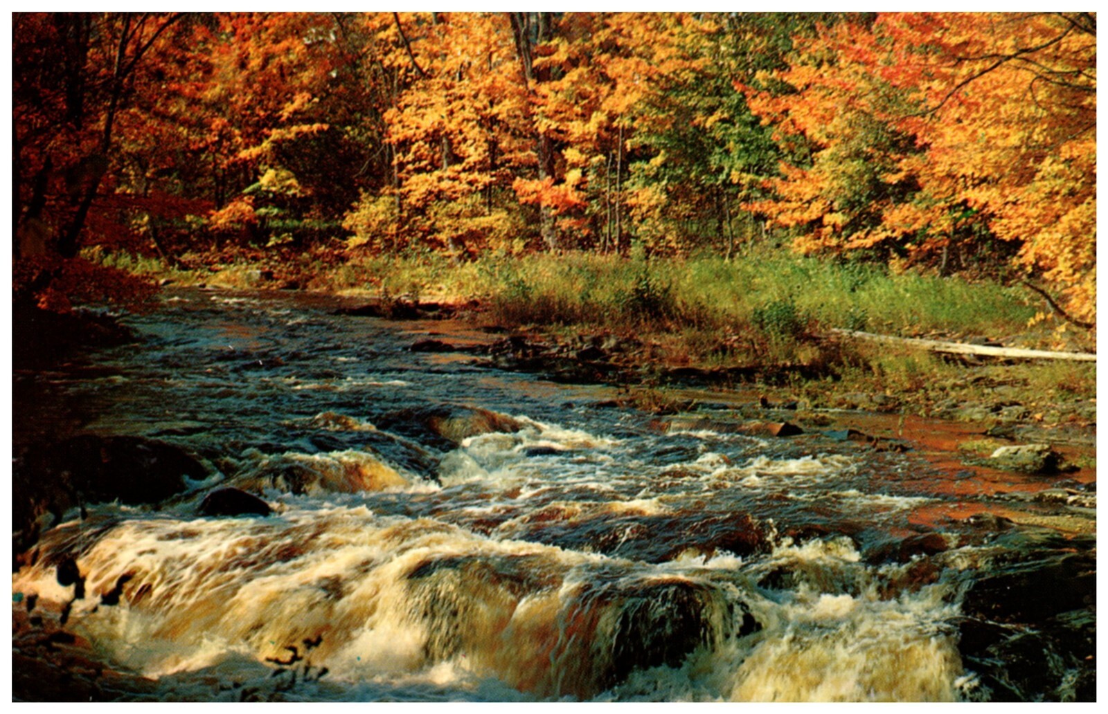Rushing Water over Rocks at Creek in Autumn Scene P12389
