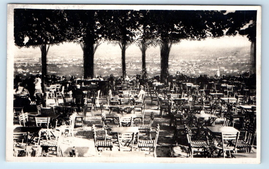 RPPC Ansichtskarte Wien, Café-Restaurant Cobenzl VIENNA Austria Postcard