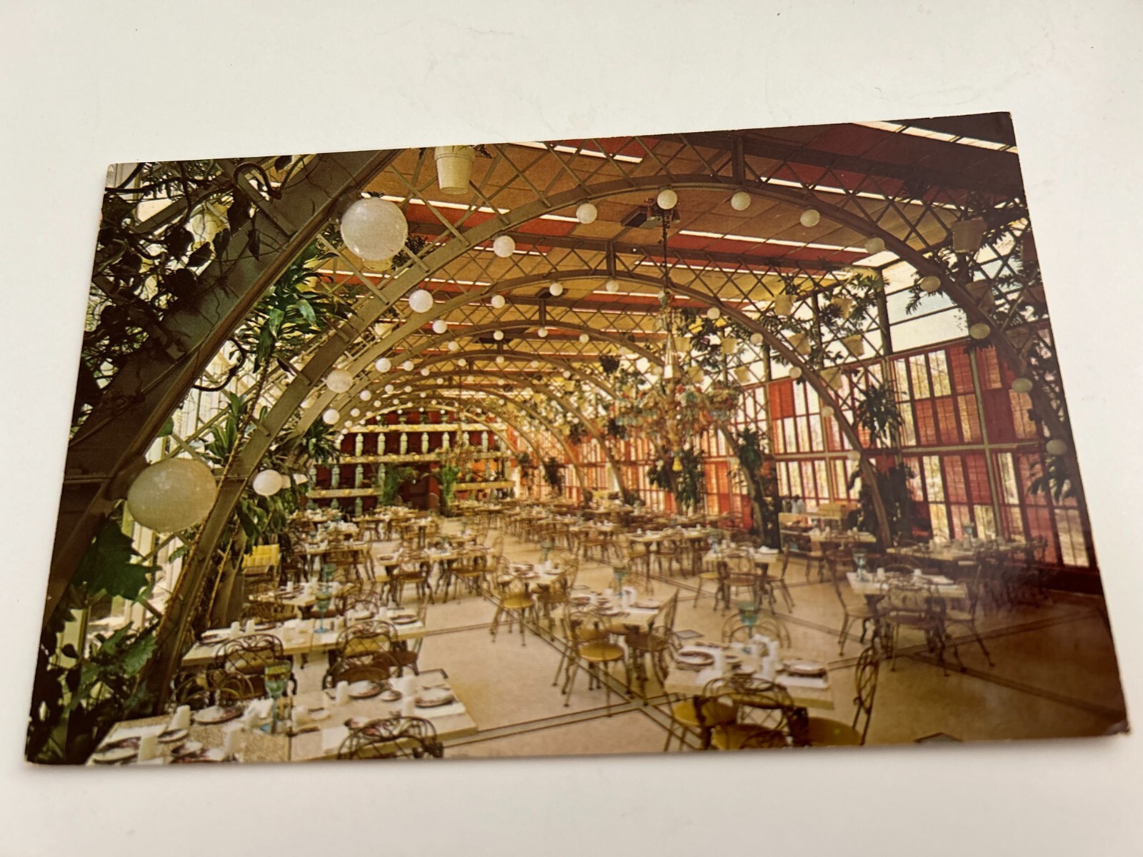 The Kapok Tree Inn Clearwater Florida The Florida Room Restaurant Postcard