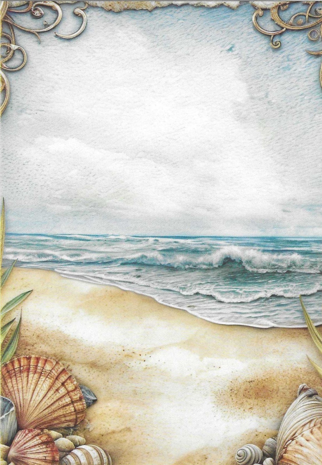 NEW Seashells Waves Ocean Postcard RETRO Nostalgic Beach Blank Back