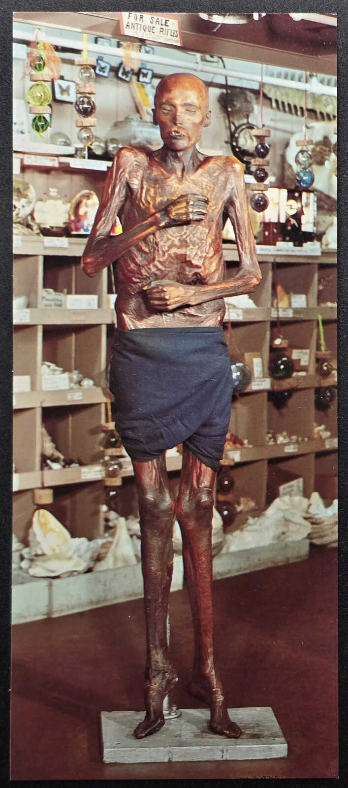 Sylvester the Desert Mummy – Ye Olde Curiosity Shop Seattle WA Smith-Western CT