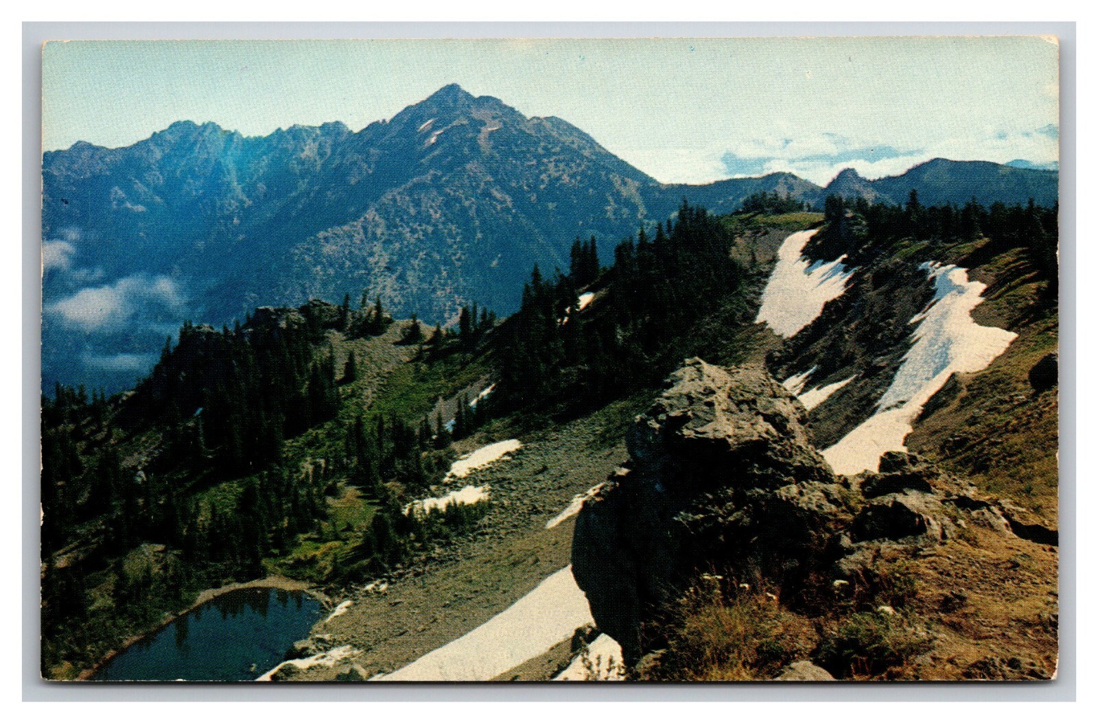 Olympic National Park WA Washington East View Hurricane Ridge Lookout Postcard
