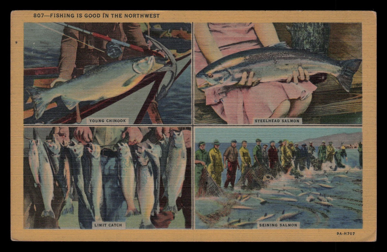 Chinook & Steelhead Salmon “Fishing Good ~ Pacific Northwest” Vintage Linen 1947