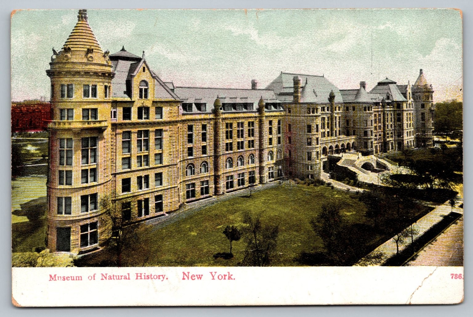 Museum of Natural History NYC Postcard I. Stern Posted c1910s