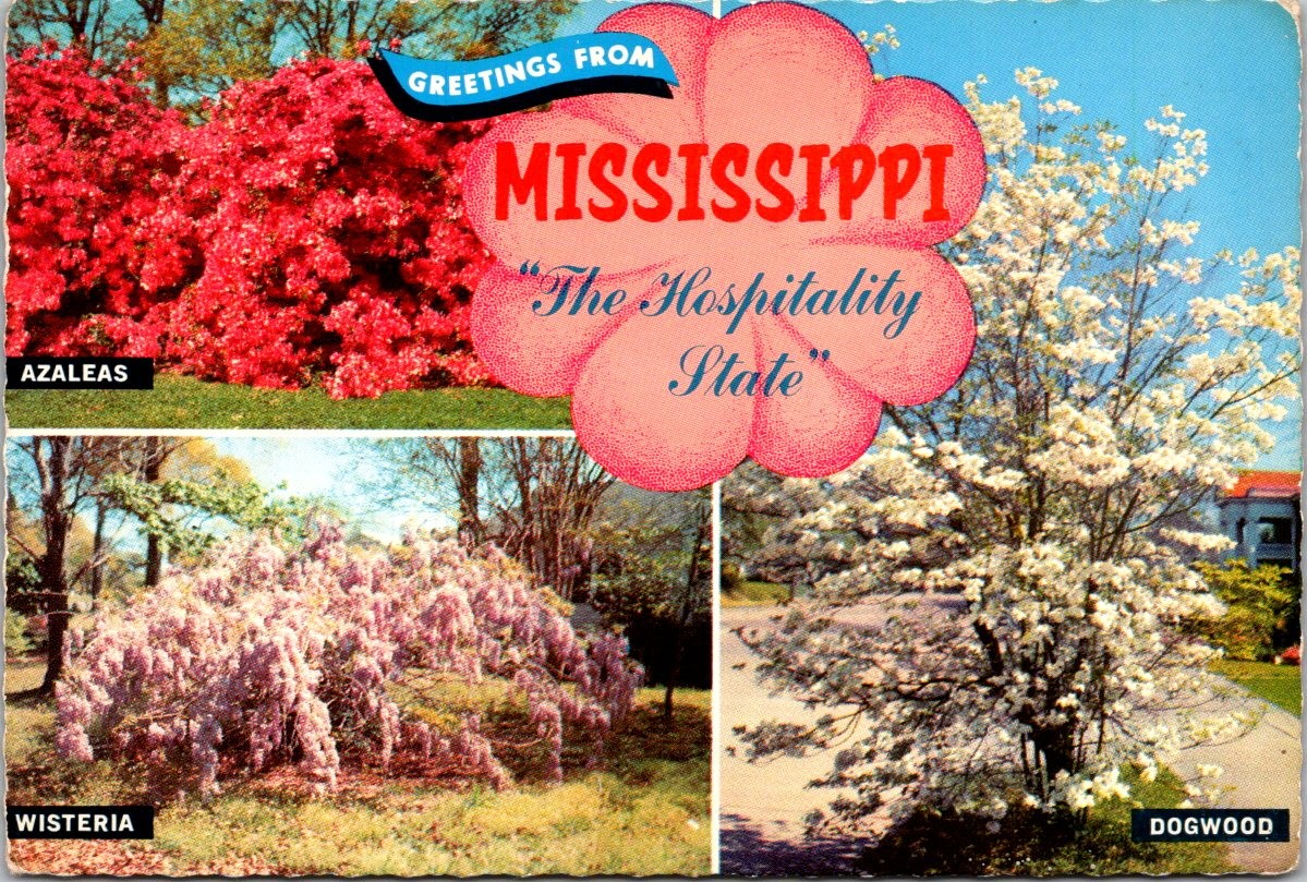 Mississippi The Hospitality State Flowers Color Continental Postcard A744