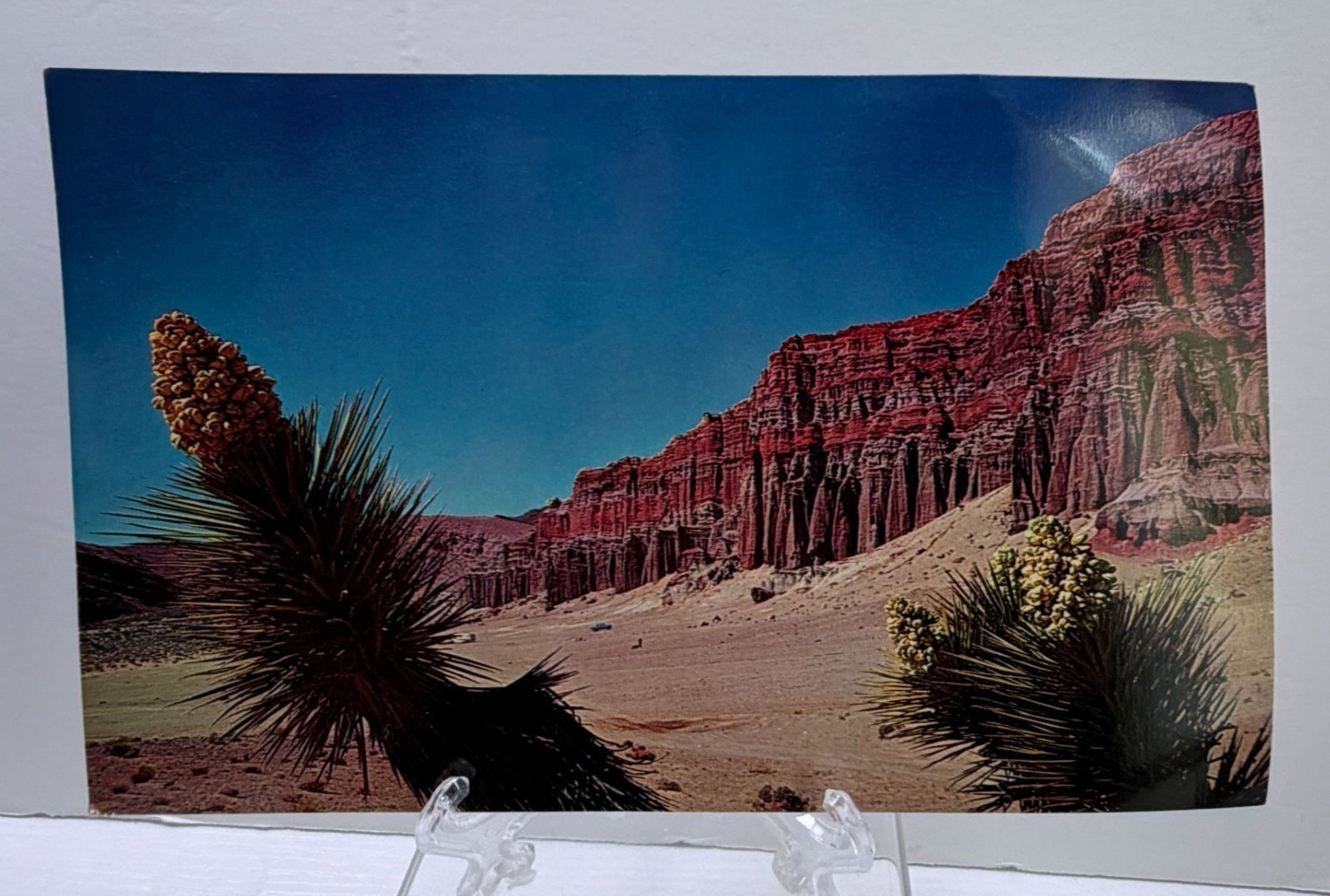 Vintage Jumbo Postcard Red Rock Canyon Mojave Desert CA 1960s Cactus Cliffs