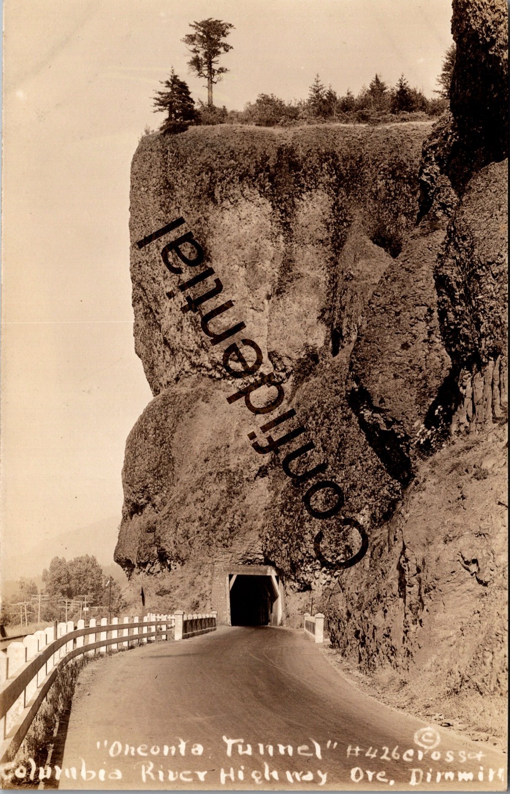Real Photo Oneonta Tunnel At Columbia River Highway OR Oregon Ore. RPPC Z12