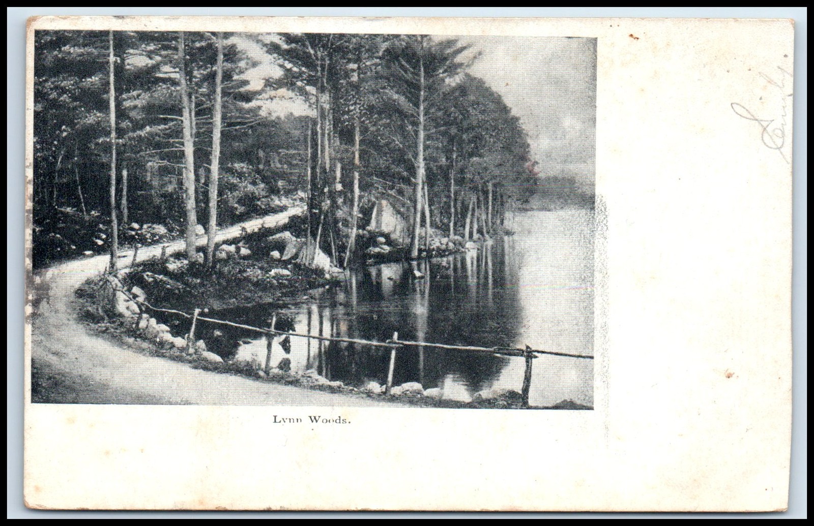 Postcard Lynn Woods. W94
