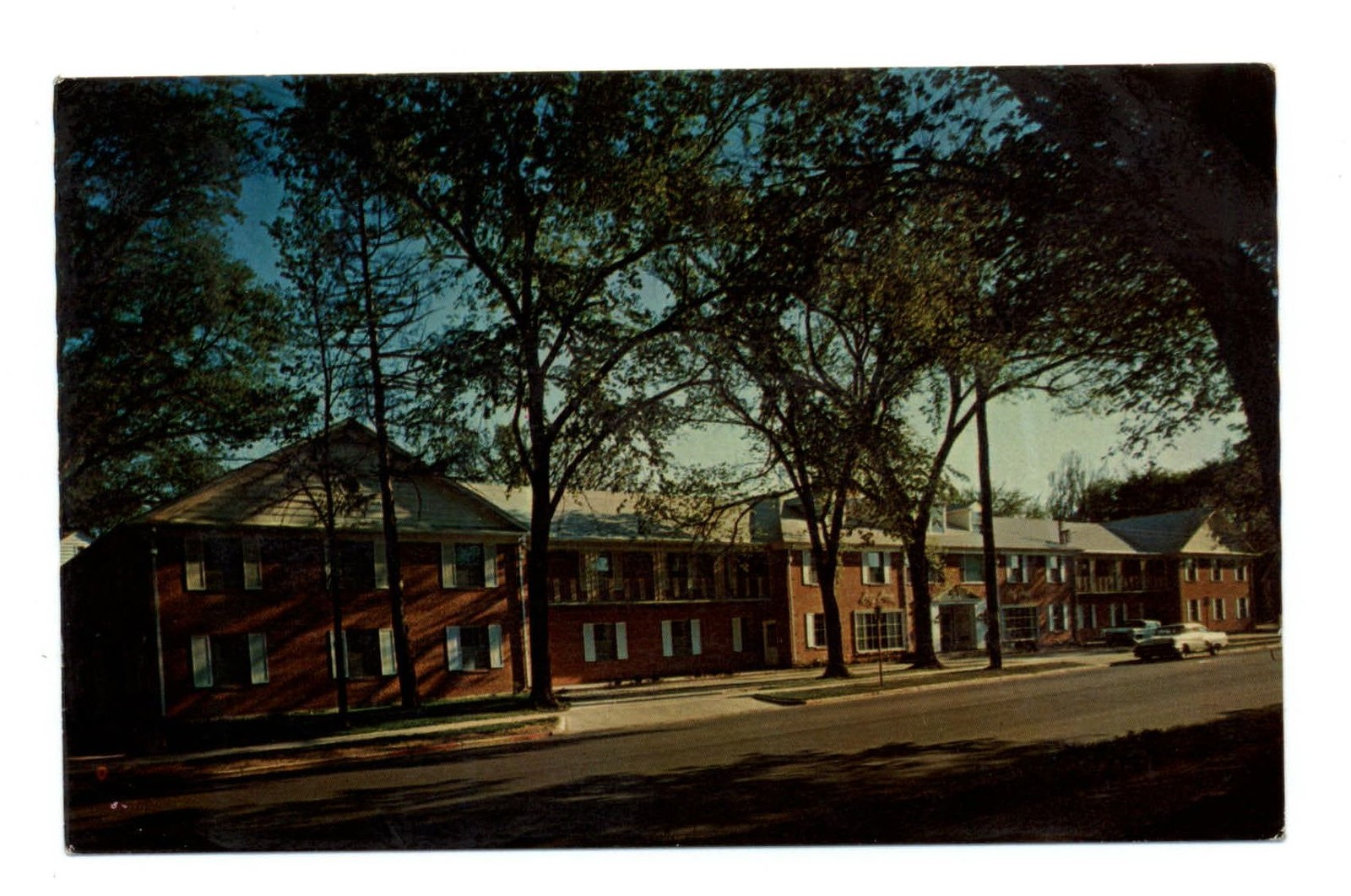 Madison Wisconsin Ivy Inn Motor Hotel 1960s cars vintage unused postcard