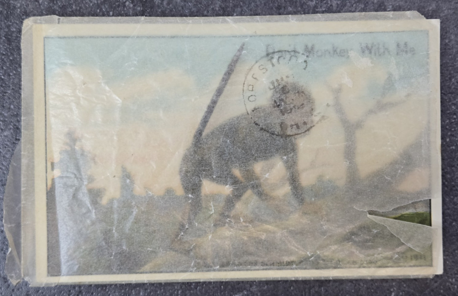 Vintage 1911 Color Animal Postcard Monkey w/ Metal 3-D Tail