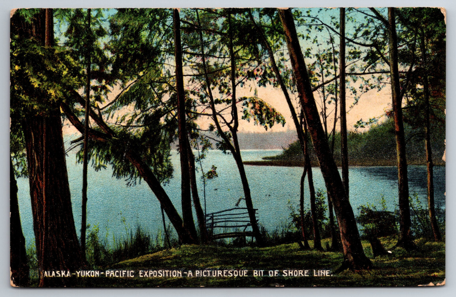 Vintage Postcard AK Yukon Pacific Exposition Shore Line c1909 -208