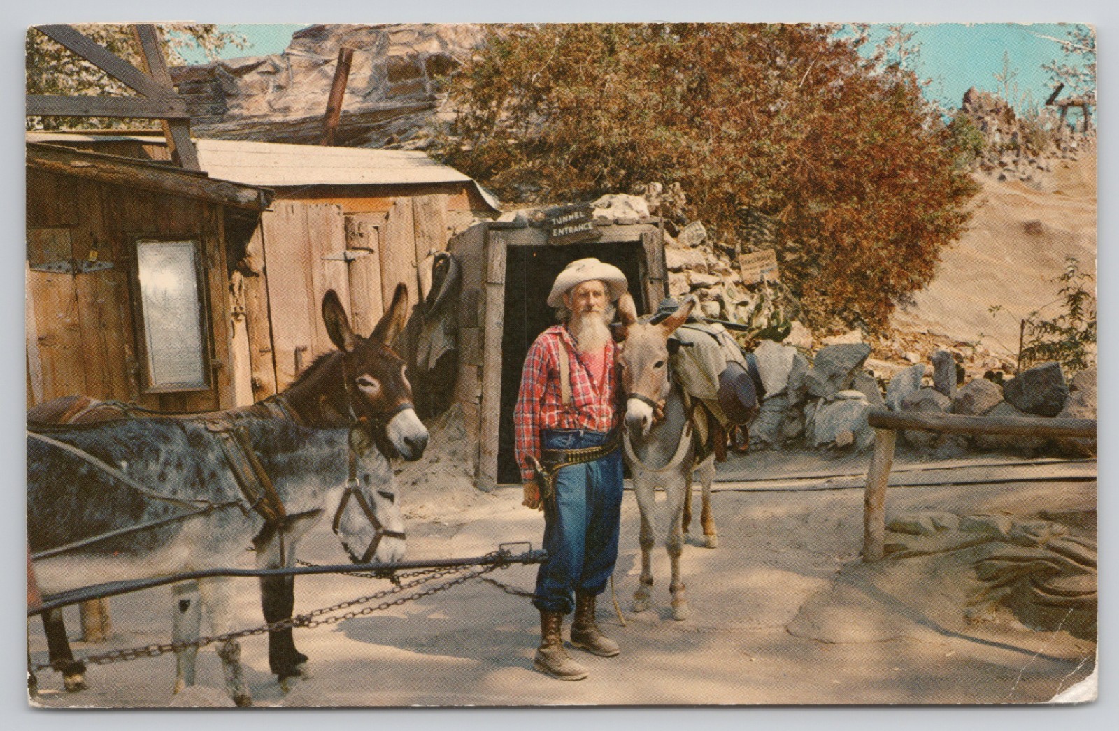 Postcard c1985 California Knott’s Berry Farm Old Prospector and Donkey