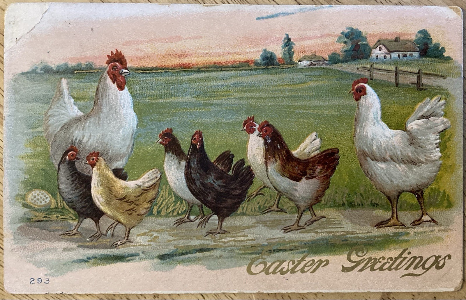 EASTER POSTCARD C.1910 (A23)~EMBOSSED CHICKEN FAMILY WALKING