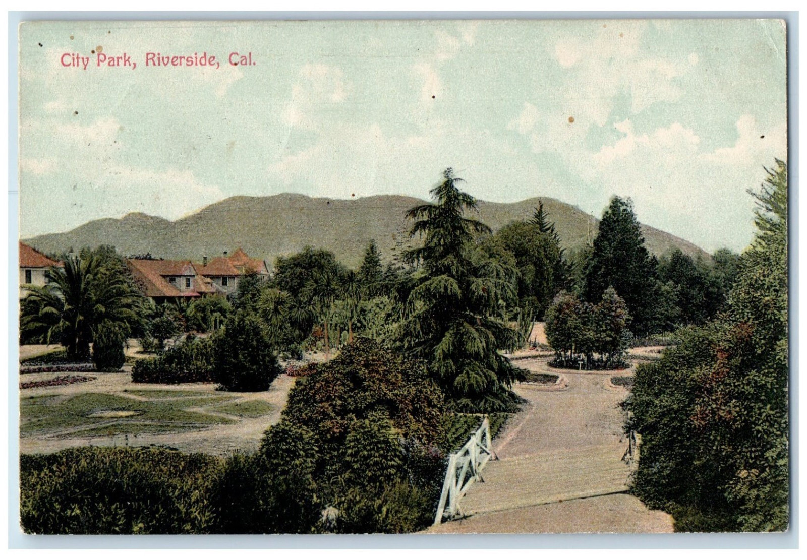 1907 City Park Garden Mountain Scene Riverside California CA Antique Postcard