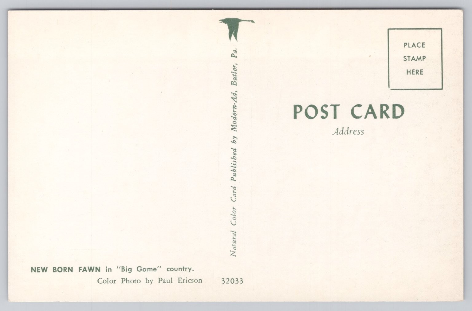 Vintage New Born Fawn Postcard Paul Ericson Photo Butler PA Modern-Ad