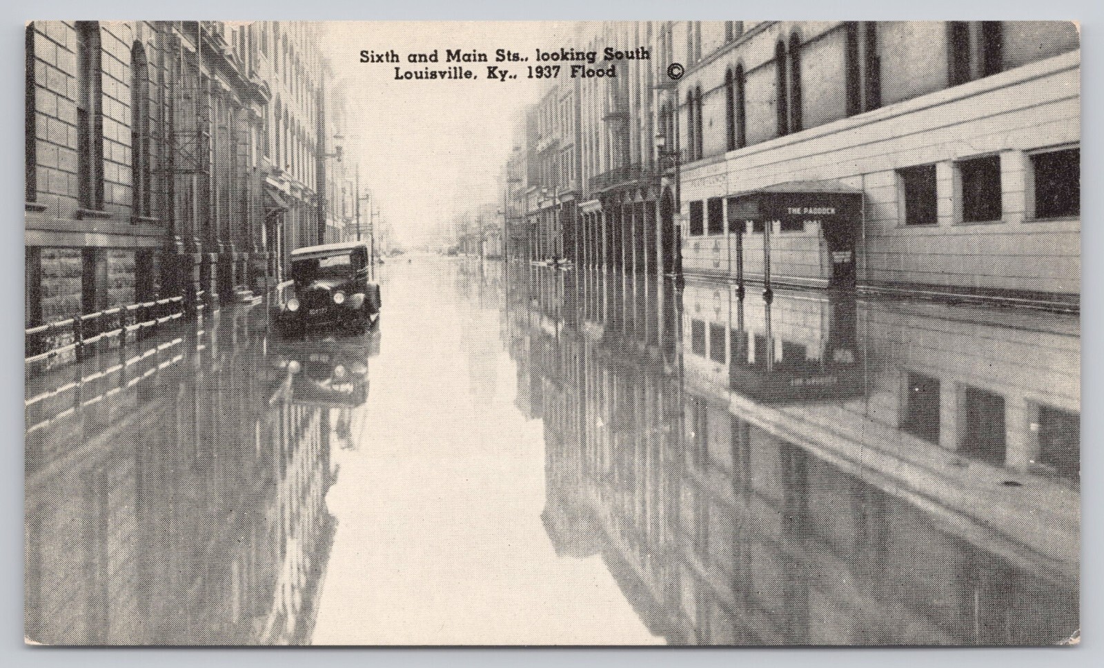 Louisville Kentucky, 1937 Flood Main Street View Old Car, Vintage Postcard