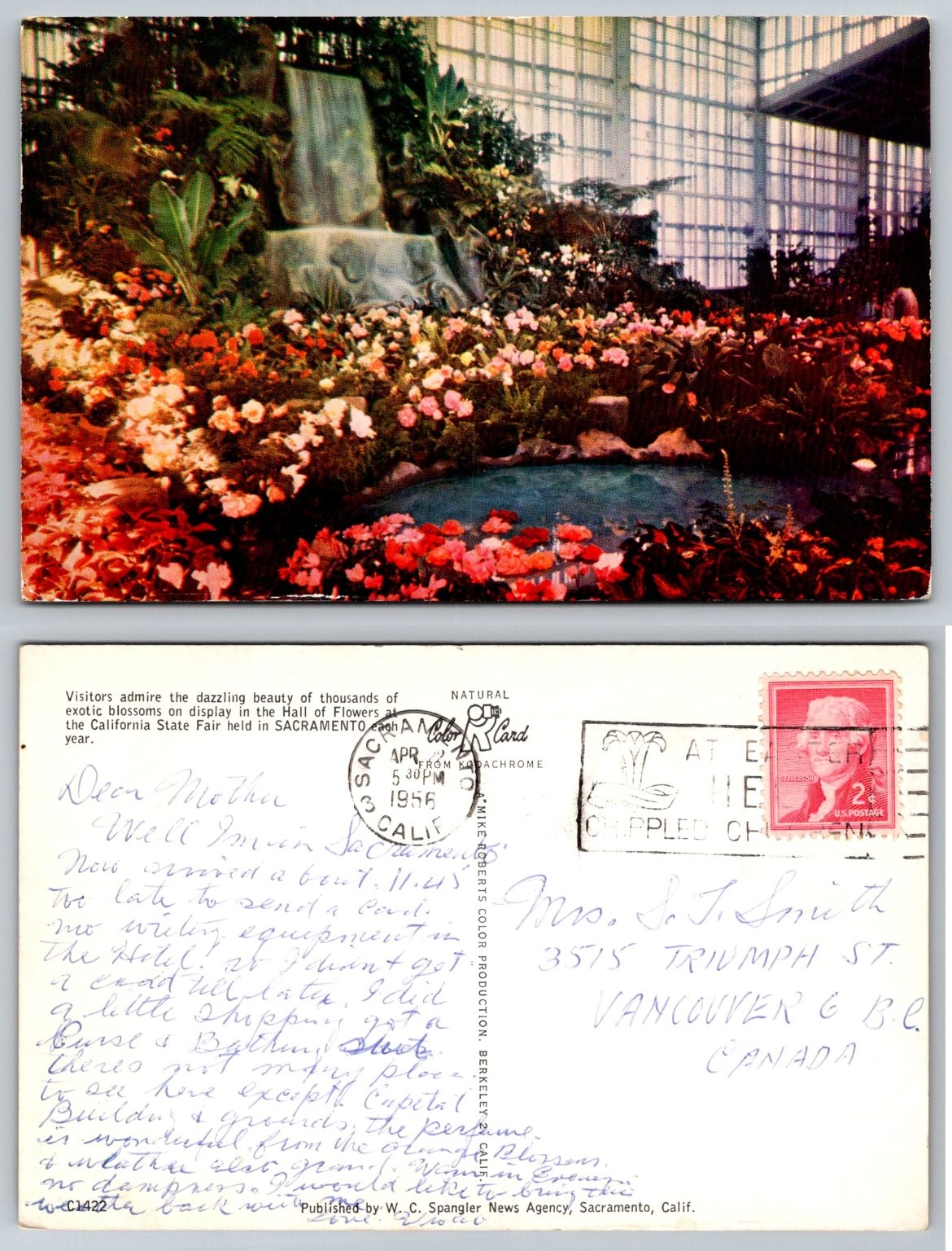 1956 California State Fair Sacramento Hall of Flowers Waterfall Kodachrome