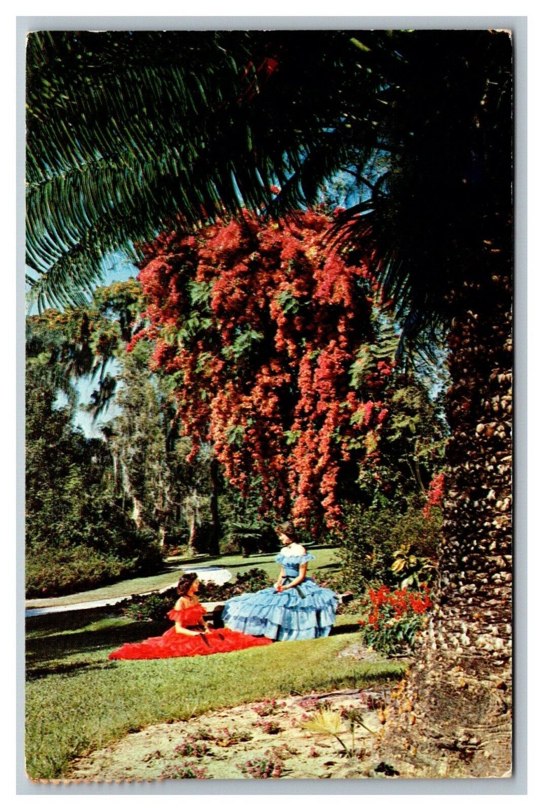 Winter Haven, FL Florida Cypress Gardens Bougainvillea Postcard Posted 1956