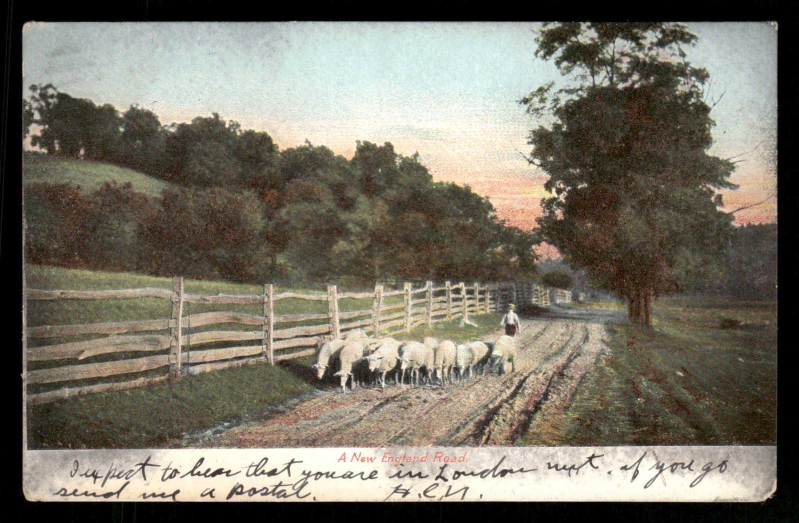 Postcard A New England Road Sheep Herder Wood Fence Dirt Road Posted 1906