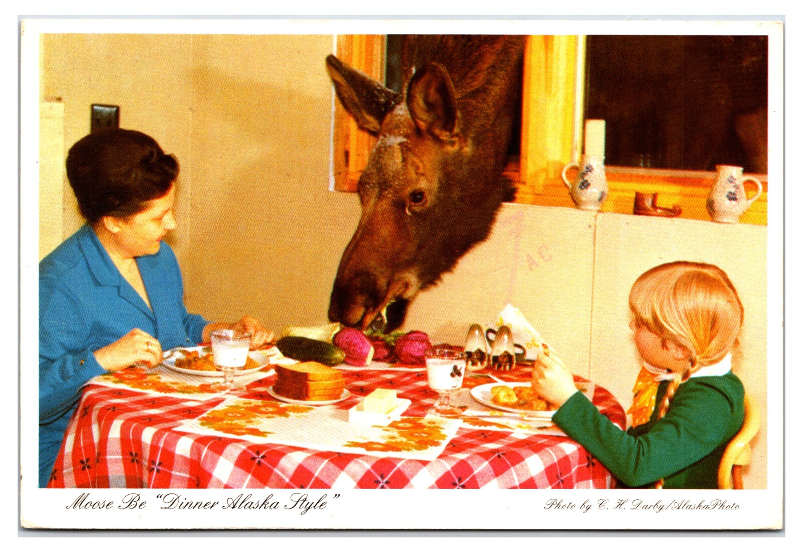 Vintage 1980s- Moose Dinner Alaska Style – Alaska State Postcard (Posted 1989)