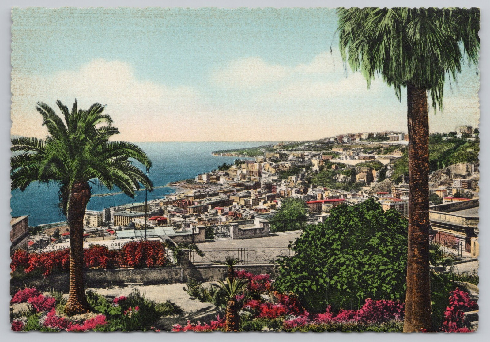 Postcard Naples Napoli Italy City View Continental
