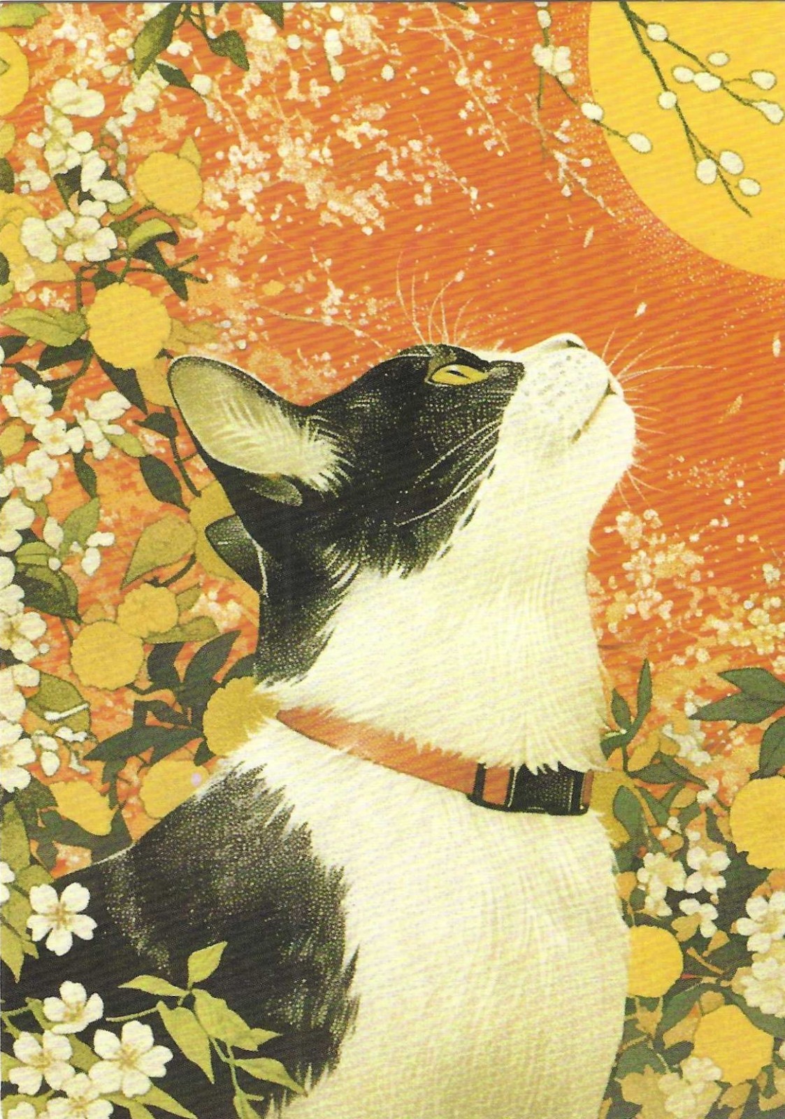 NEW Cats Postcard Japanese Style Art Nostalgic Cat Japan Theme Blossoms