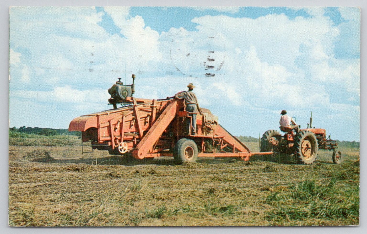 1958 Marietta GA Mechanical Peanut Picker Farming Postcard – Colourpicture