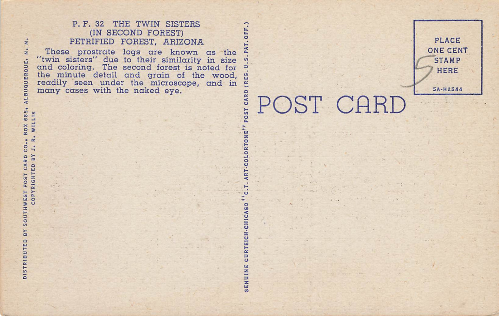 FALLEN LOG CROSS SECTION TREE IN DESERT POSTCARD PETRIFIED FOREST ARIZONA 1935