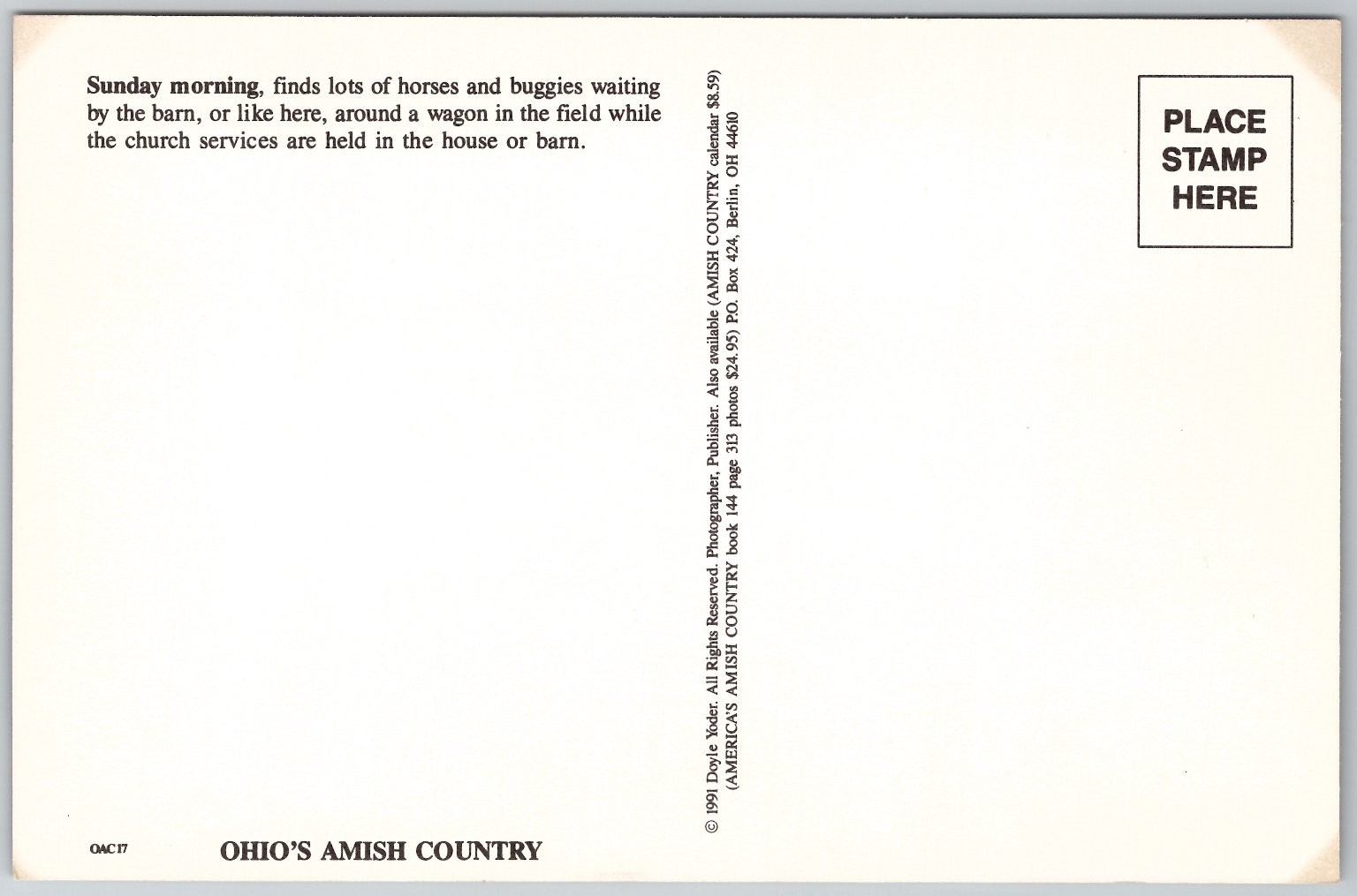 Ohio Amish Country Horses & Buggies Sunday Church Gathering Postcard 1991