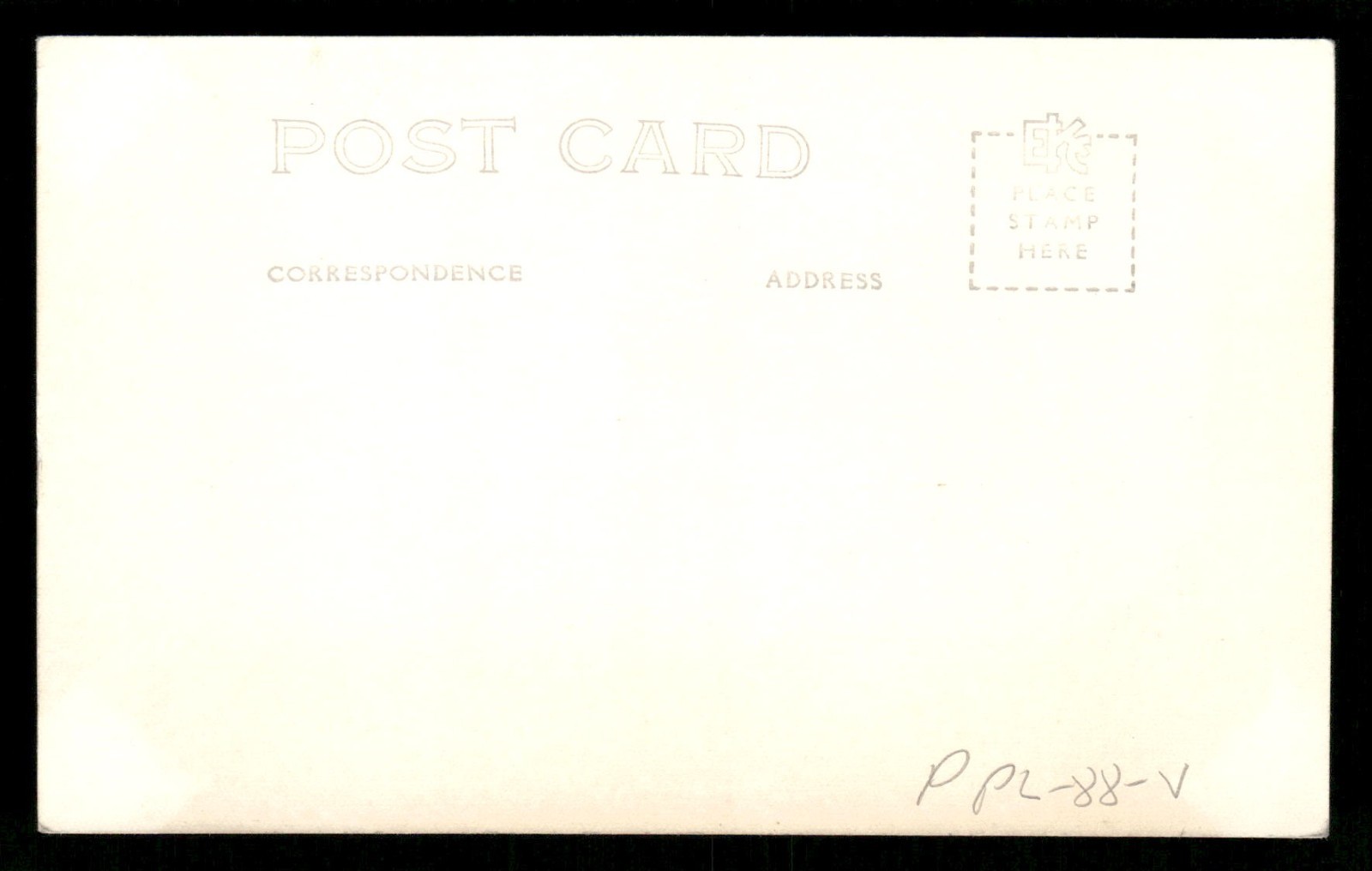 RPPC Postcard Porcupine in Tree Alaska c1940