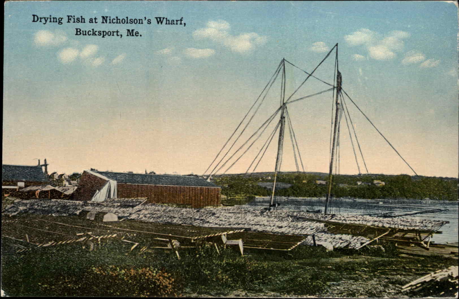 Bucksport Maine ME Drying Fish at Nicholson’s Wharf c1900s-10s Postcard